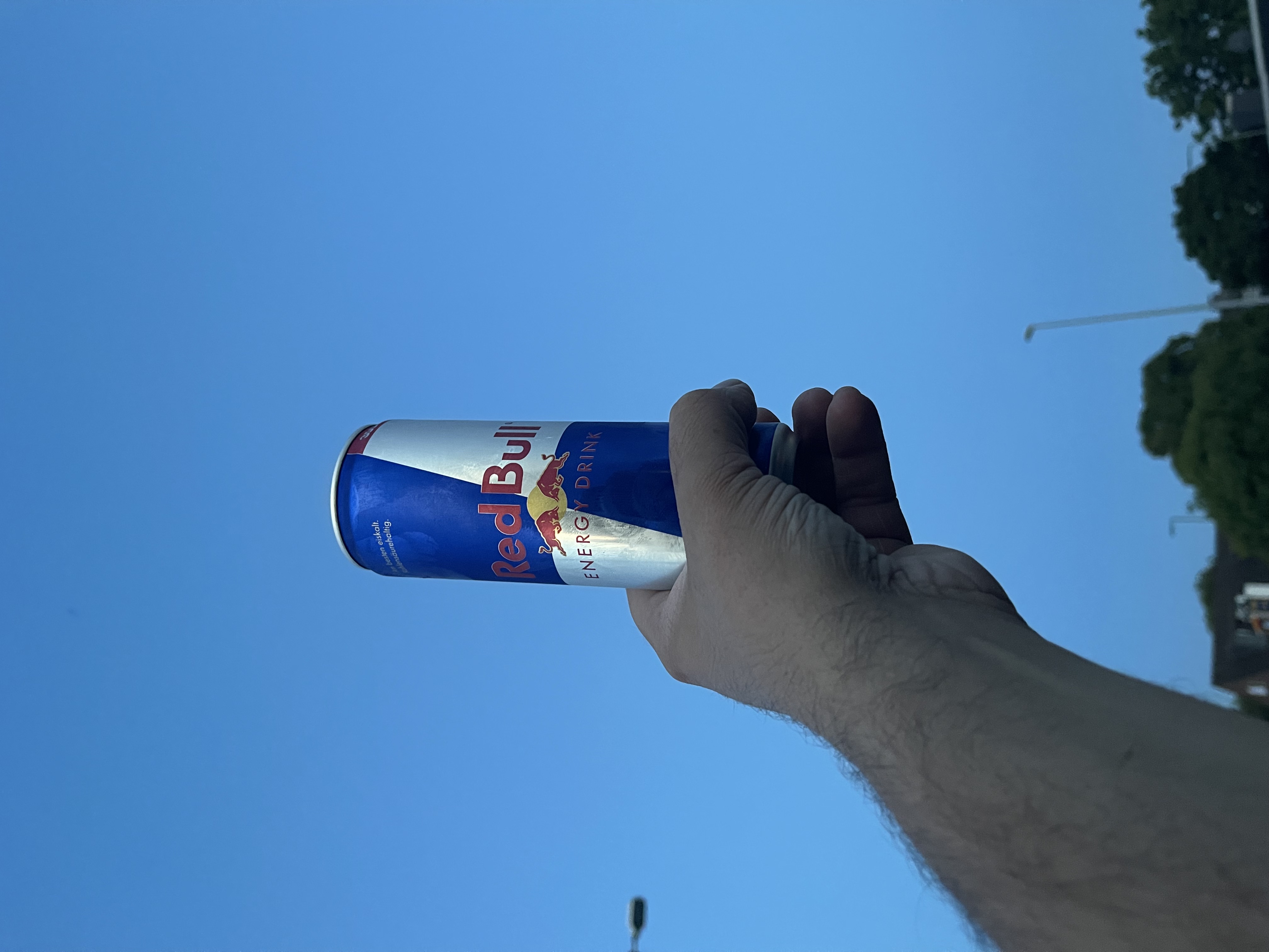 sdfvsdfdv